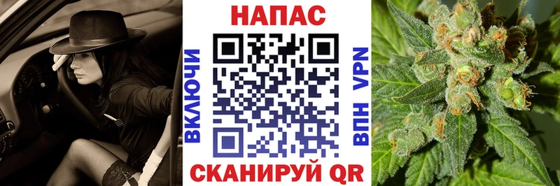 МАРИХУАНА семена  Грайворон 